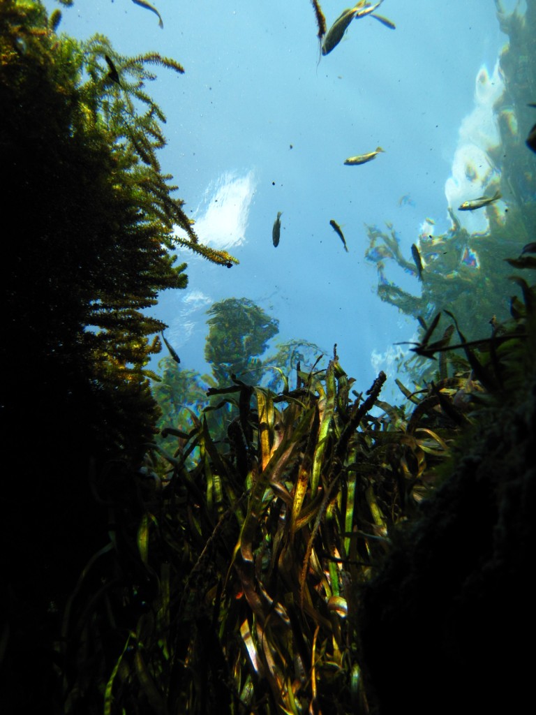 (photo: Blake Harvey)